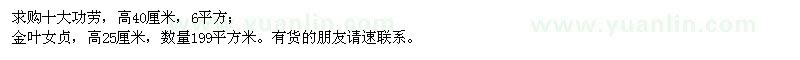 求購十大功勞、金葉女貞