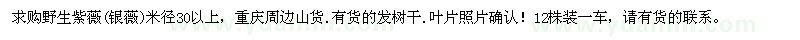 求購米徑30以上野生紫薇