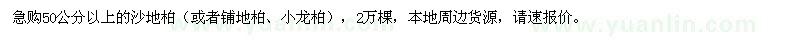求購50公分以上沙地柏或者鋪地柏、小龍柏