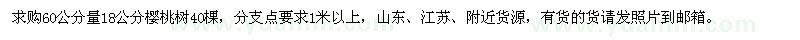 求購18公分櫻桃樹