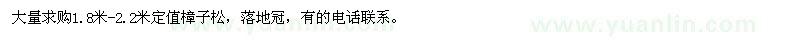 求購1.8米-2.2米定值樟子松