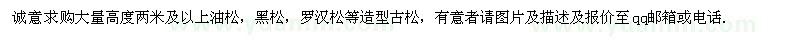 求購(gòu)高度兩米及以上造型古松