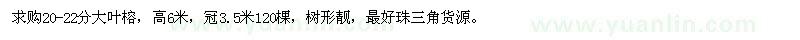 求購20-22公分大葉榕