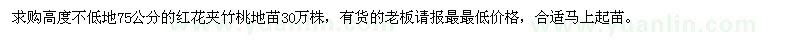 求購高度不低地75公分的紅花夾竹桃地苗