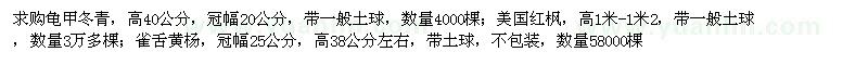 求購(gòu)龜甲冬青,美國(guó)紅楓,雀舌黃楊