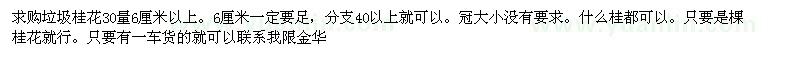 求購垃圾桂花30量6厘米以上
