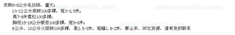 求購毛白楊、欒樹、雪松、銀杏、火炬樹