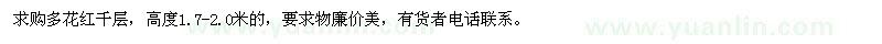 求購高1.7-2.0米多花紅千層