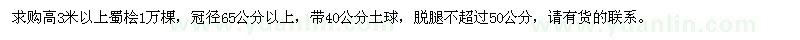 求購(gòu)高3米以上蜀檜