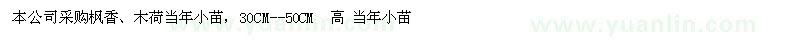 求購(gòu)楓香、木荷當(dāng)年小苗