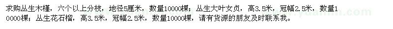 求購(gòu)叢生木槿、叢生大葉女貞、叢生花石榴
