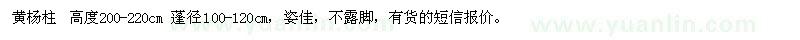 求購(gòu)蓬徑100-120cm的黃楊柱
