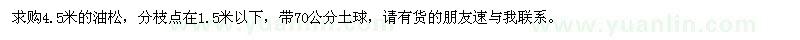 求購油松帶70公分土球