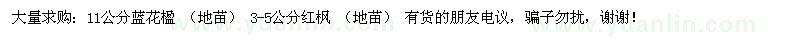 求購大量求購藍花楹、紅楓
