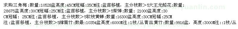 求購三角梅 大王龍船花 紫嬋等