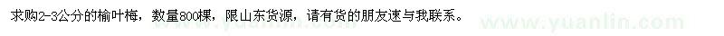 求購2-3公分的榆葉梅