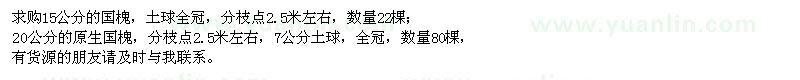 求購(gòu)15公分的國(guó)槐、20公分的原生國(guó)槐