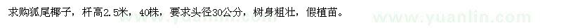 求購高2.5米狐尾椰子