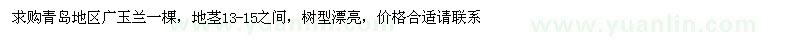 求購(gòu)青島地區(qū)廣玉蘭