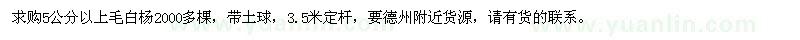 求購5公分以上毛白楊