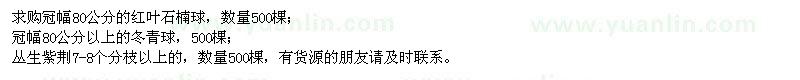 求購(gòu)紅葉石楠球、冬青、叢生紫荊