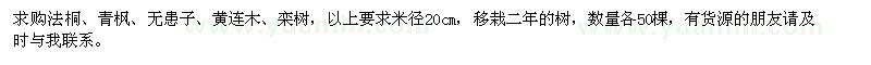 求購法桐、青楓、無患子、黃連木、欒樹