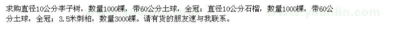 求購李子樹、石榴、刺柏