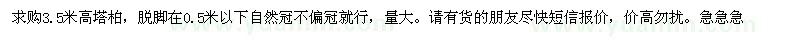 求購3.5米高塔柏