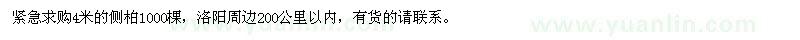 求購(gòu)4米側(cè)柏