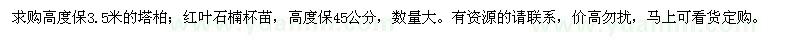 求購(gòu)高3.5米塔柏、高45公分紅葉石楠杯苗