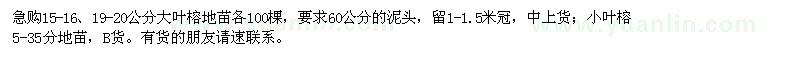 求購15-16、19-20公分大葉榕地苗