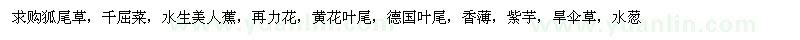 求購狐尾草、千屈菜