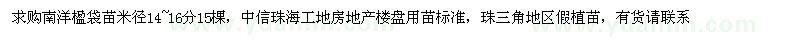 求購(gòu)南洋楹袋苗