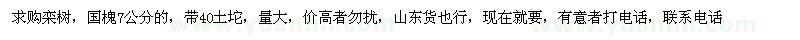 求購欒樹、國槐