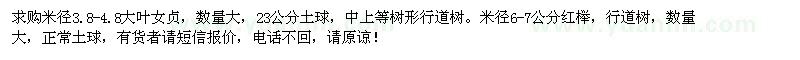 求購米徑3.8-4.8公分大葉女貞