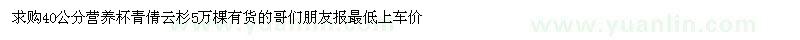 求購40公分營養(yǎng)杯青倩云杉