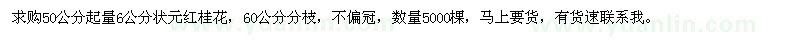 求購(gòu)6公分狀元紅桂花