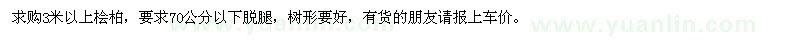 求購(gòu)3米以上檜柏