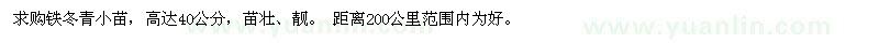 求購高40公分鐵冬青小苗
