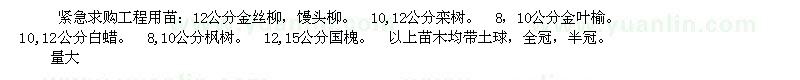 求購(gòu)金絲柳、欒樹、饅頭柳等工程苗