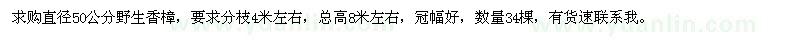 求購直徑50公分野生香樟