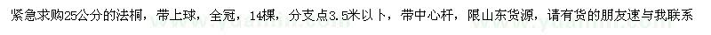 求購25公分法桐