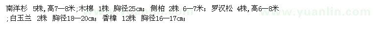 求購南洋杉、側(cè)柏、羅漢松樹木一批
