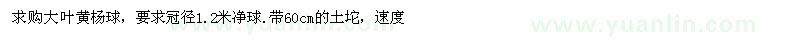 求購大葉黃楊球