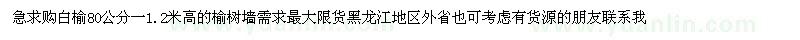 求購(gòu)白榆、榆樹
