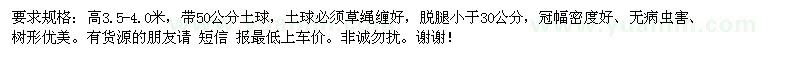 求購塔柏