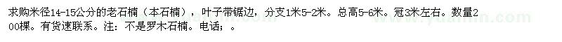 求購米徑14-15公分老石楠（本石楠）