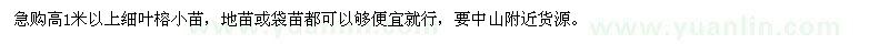 求購高1米以上細(xì)葉榕小苗