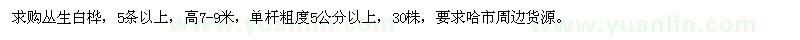 求購高7-9米叢生白樺