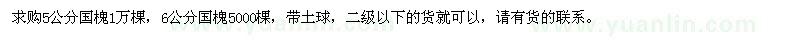 求購5公分、6公分國槐